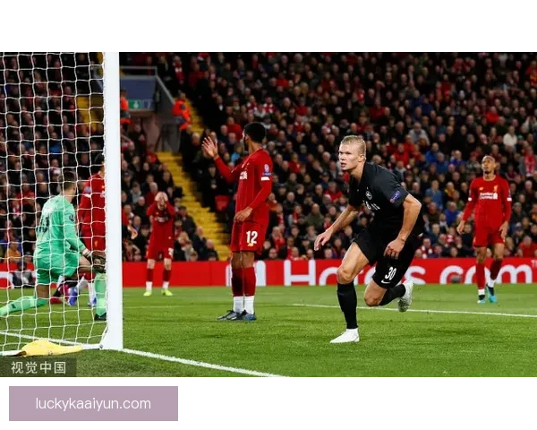 哈兰德禁区统治