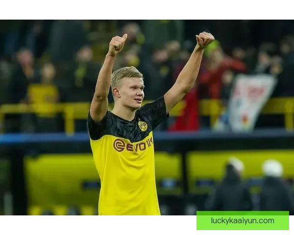 哈兰德作为挪威队长，状态回暖，未来表现值得关注